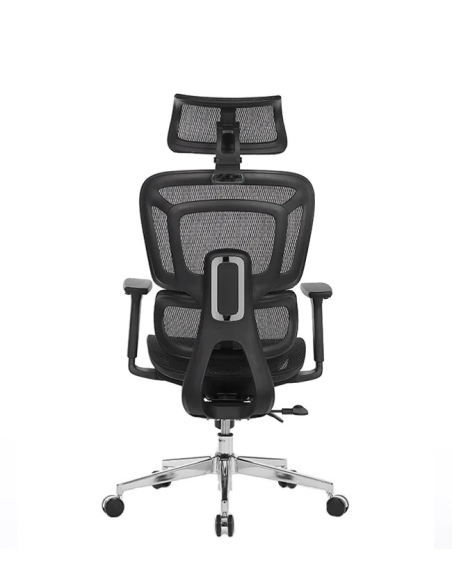 Silla Apollo Plus