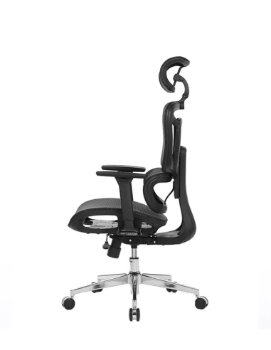 Silla Apollo Plus