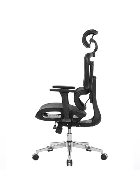 Silla Apollo Plus