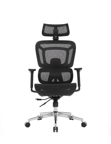 Silla Apollo Plus