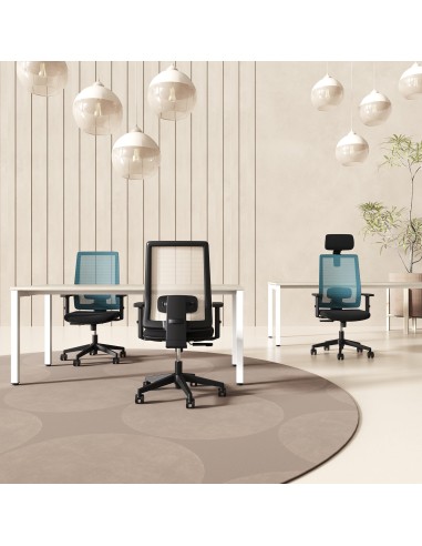 Silla Moon