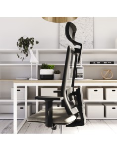 Silla Moon 2