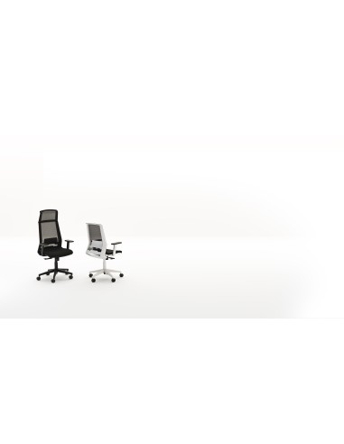 Silla Duo