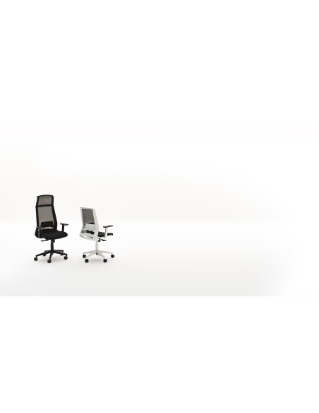 Silla Duo