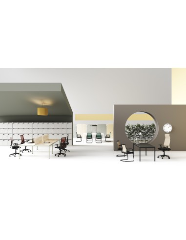 Silla Duo