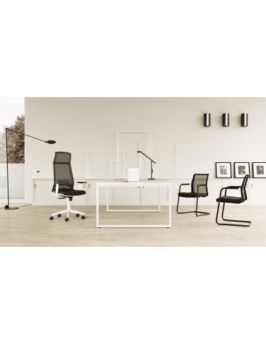 Silla Duo