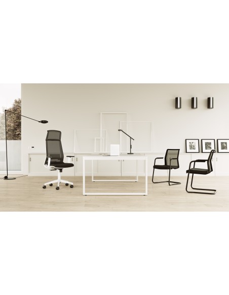 Silla Duo