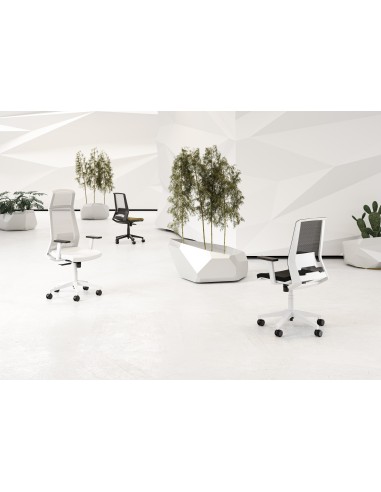 Silla Duo