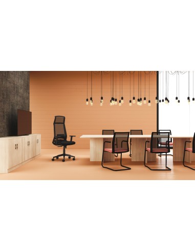 Silla Duo