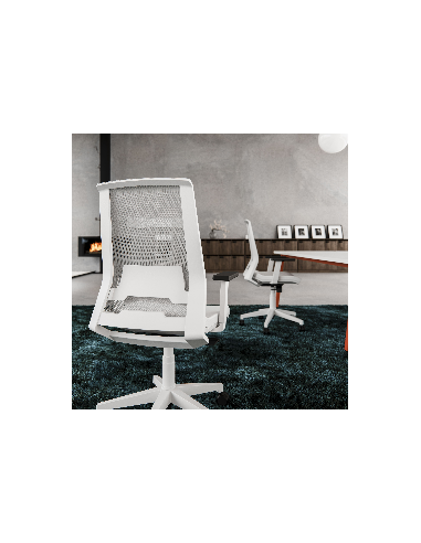Silla Duo
