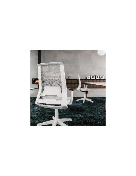 Silla Duo