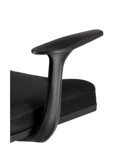 Silla Roma