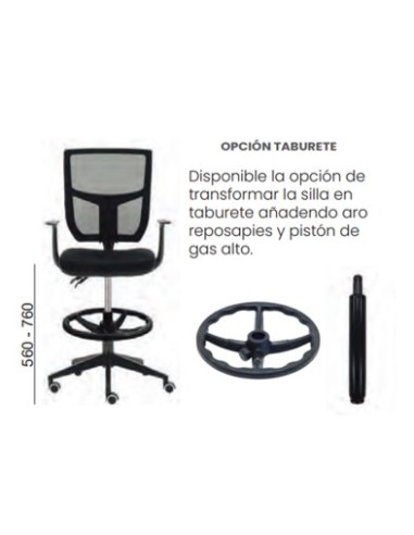 Silla Roma