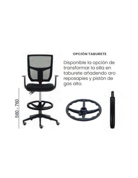 Silla Roma