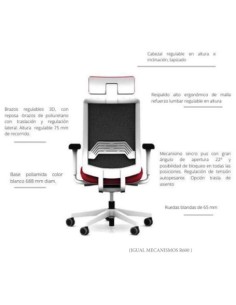 Silla R800 2